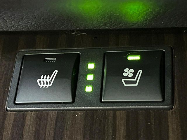 TOYOTA LEXUS GS250 2013 Image 31