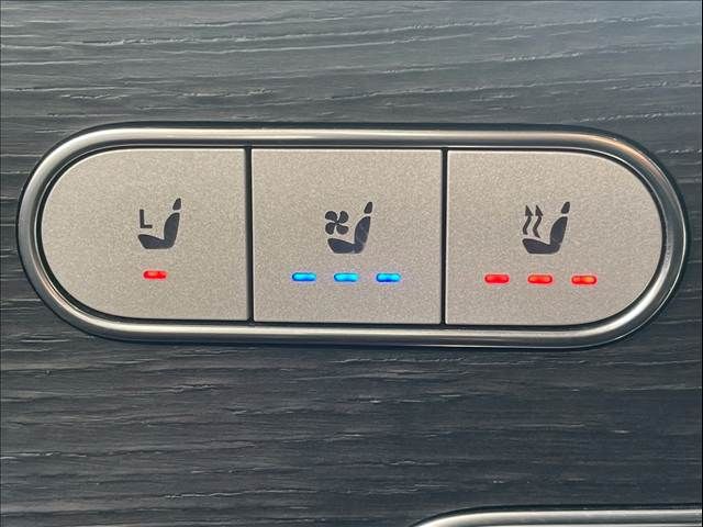 MERCEDES BENZ GLE CL 2020 Image 31