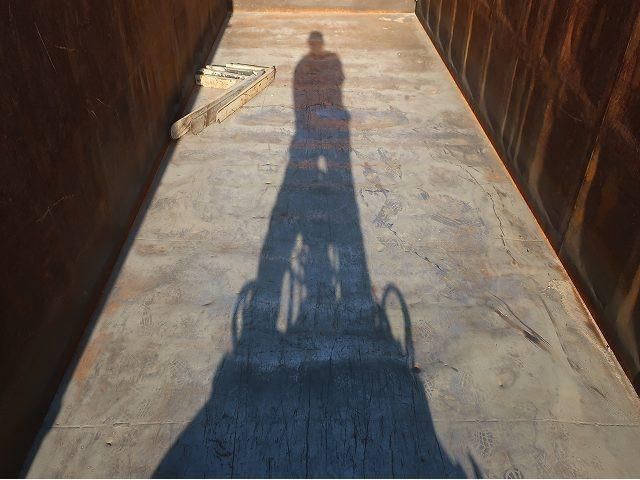 HINO PROFIA 2005 Image 31