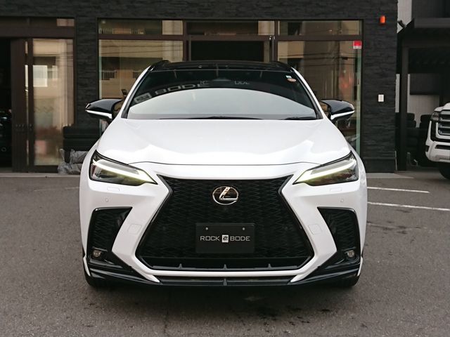 TOYOTA LEXUS NX350H AWD 2023 Image 31