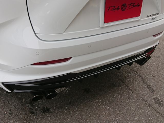 TOYOTA LEXUS NX350H AWD 2023 Image 31