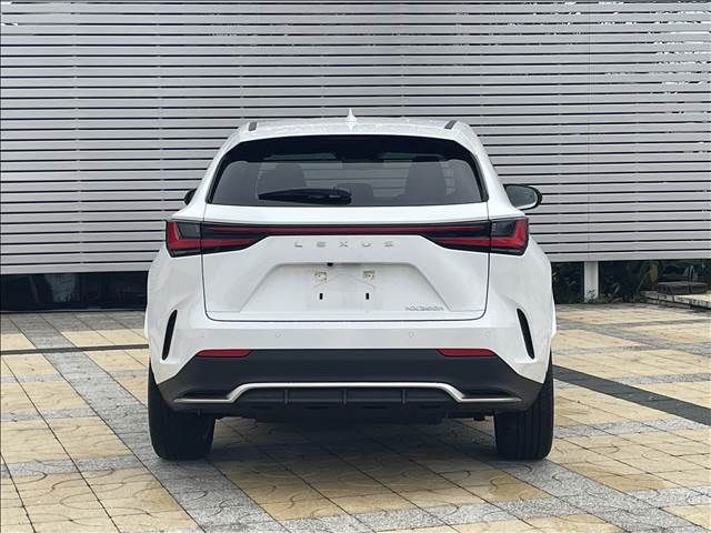 TOYOTA LEXUS NX350H 2023 Image 31