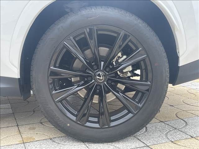 TOYOTA LEXUS NX350H 2023 Image 31