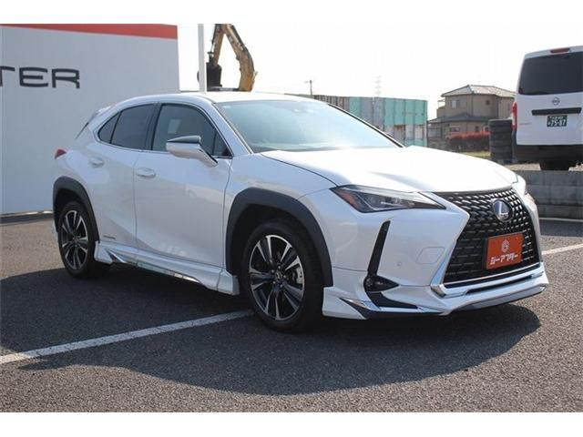 TOYOTA LEXUS UX250H 2021 Image 31