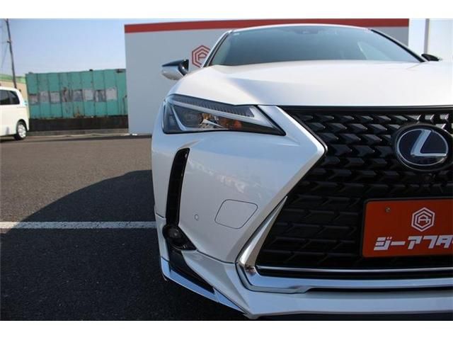TOYOTA LEXUS UX250H 2021 Image 31
