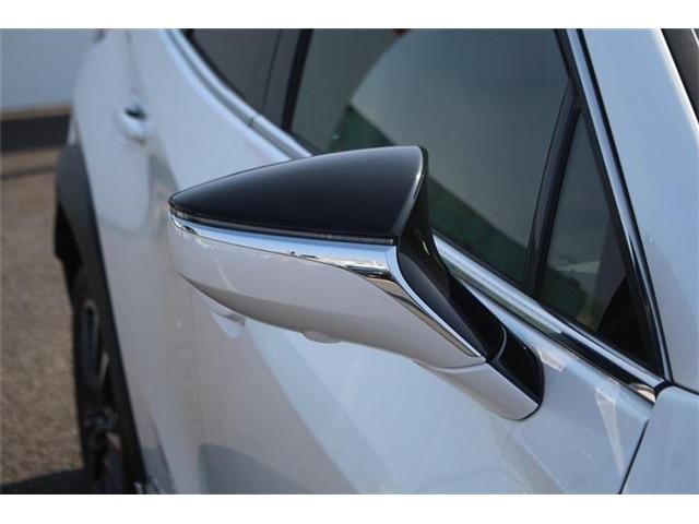 TOYOTA LEXUS UX250H 2021 Image 31