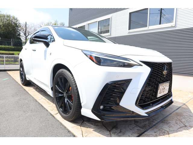TOYOTA LEXUS NX350H AWD 2023 Image 31