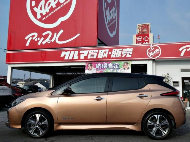 NISSAN LEAF 2021 Image 31