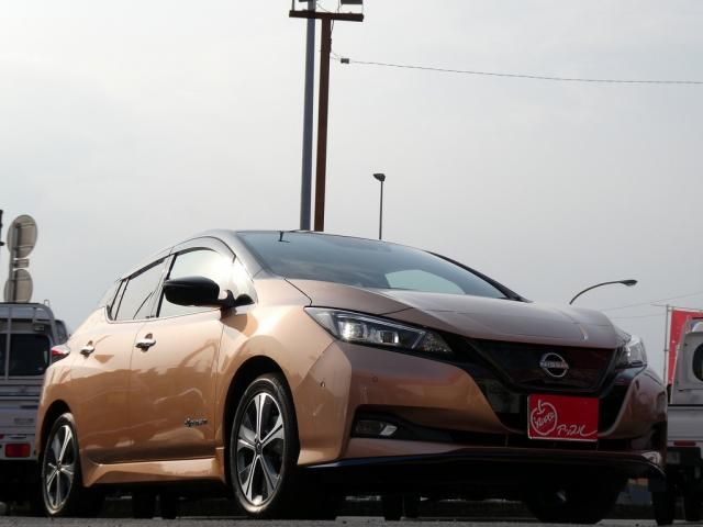 NISSAN LEAF 2021 Image 31