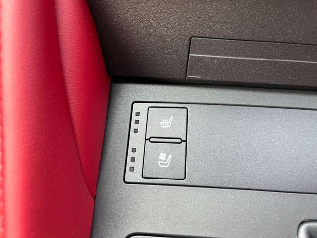 TOYOTA LEXUS RC300H 2021 Image 31