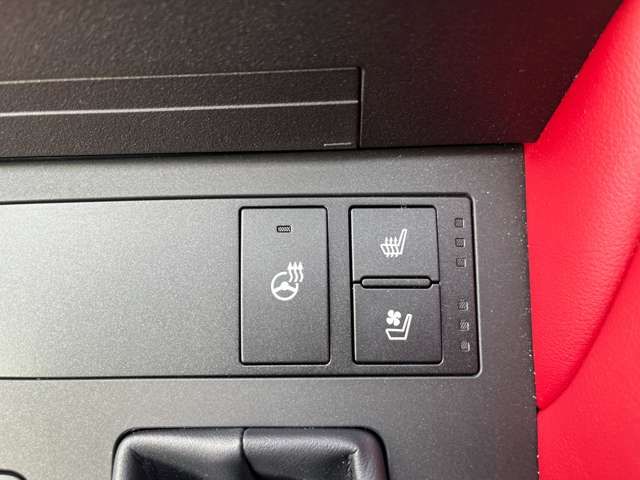 TOYOTA LEXUS RC300H 2021 Image 31