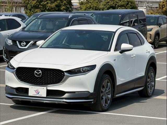 MAZDA CX-30 2020 Image 31