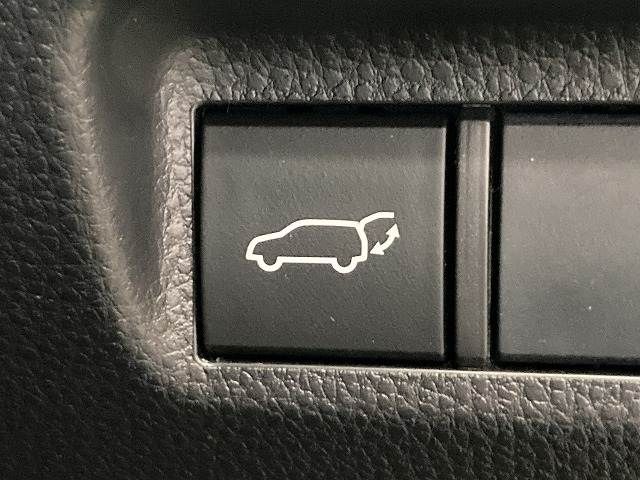 TOYOTA RAV4 4WD 2019 Image 31