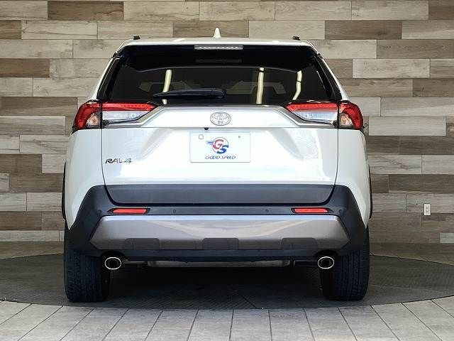 TOYOTA RAV4 4WD 2019 Image 31