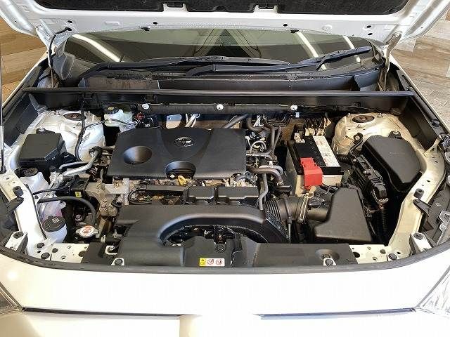 TOYOTA RAV4 4WD 2019 Image 31