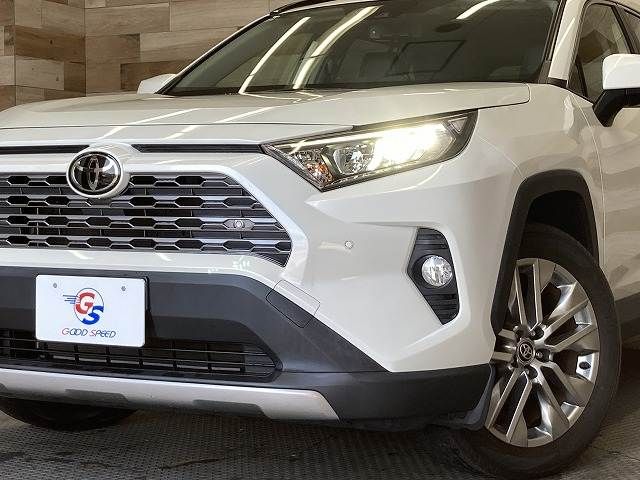 TOYOTA RAV4 4WD 2019 Image 31