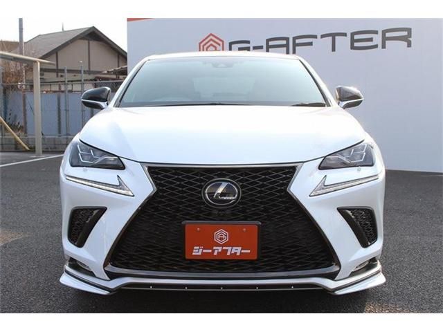 TOYOTA LEXUS NX300H 2018 Image 31