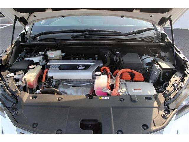 TOYOTA LEXUS NX300H 2018 Image 31