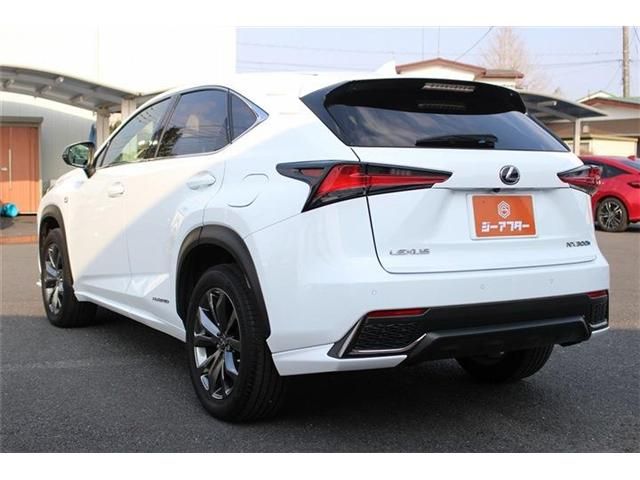TOYOTA LEXUS NX300H 2018 Image 31
