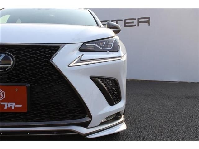 TOYOTA LEXUS NX300H 2018 Image 31