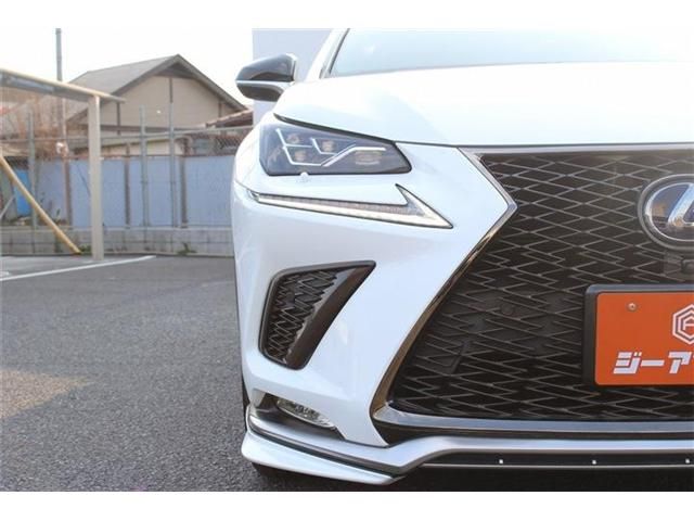 TOYOTA LEXUS NX300H 2018 Image 31