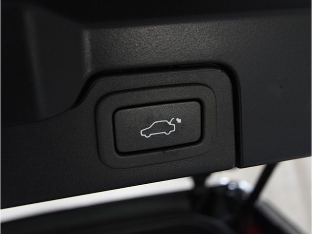 ROVER RANGE  EV 2019 Image 31