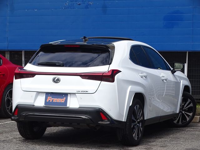 TOYOTA LEXUS UX250H 2023 Image 31