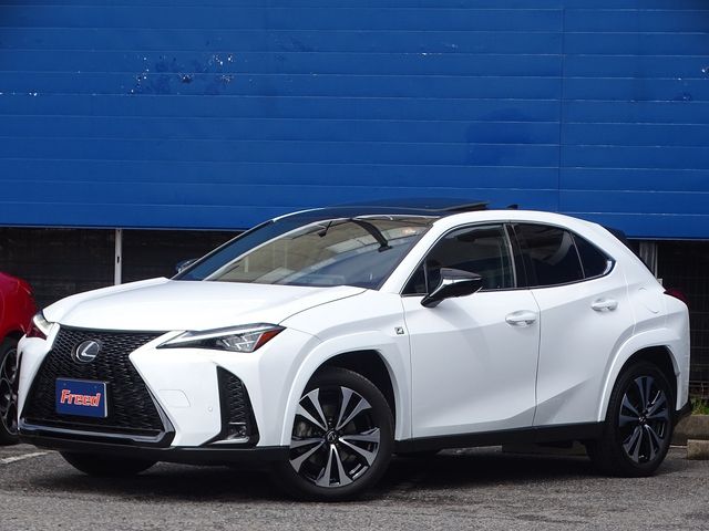 TOYOTA LEXUS UX250H 2023 Image 31