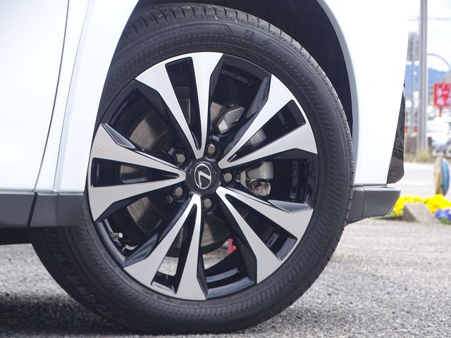 TOYOTA LEXUS UX250H 2023 Image 31