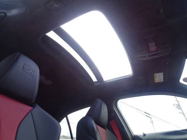 TOYOTA LEXUS UX250H 2023 Image 31