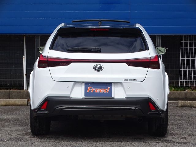 TOYOTA LEXUS UX250H 2023 Image 31