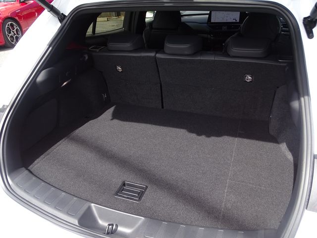 TOYOTA LEXUS UX250H 2023 Image 31