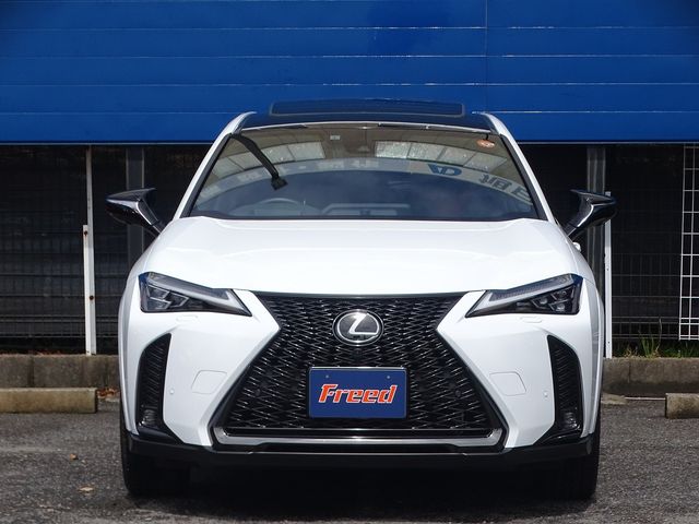 TOYOTA LEXUS UX250H 2023 Image 31