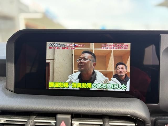 TOYOTA LANDCRUISER 250 2025 Image 31