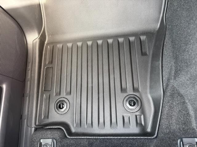 TOYOTA LANDCRUISER 250 2025 Image 31