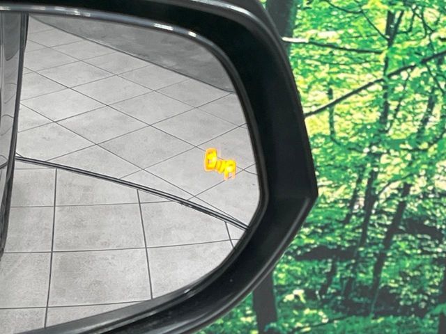 TOYOTA RAV4 4WD 2023 Image 31