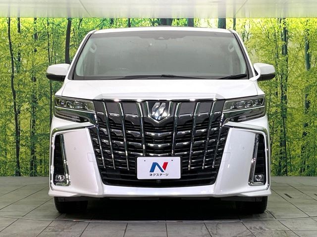 TOYOTA ALPHARD 2019 Image 31