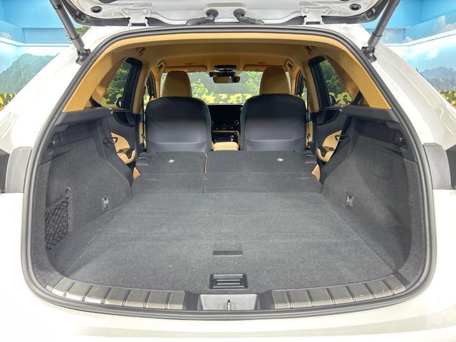 TOYOTA LEXUS NX350H 2025 Image 31