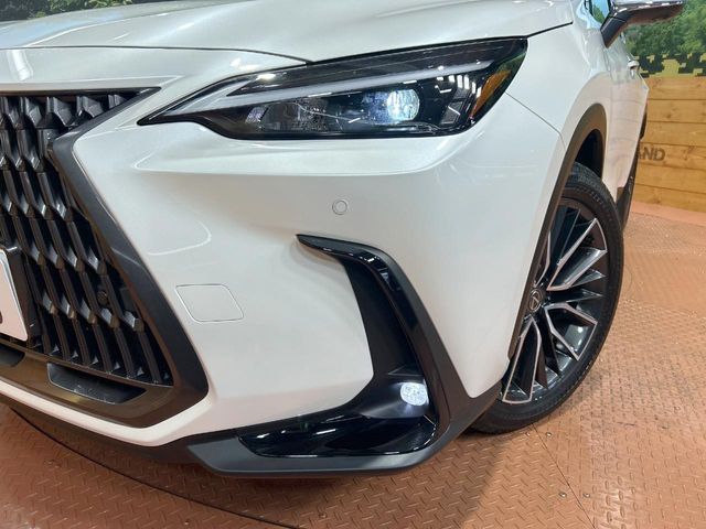 TOYOTA LEXUS NX350H 2025 Image 31