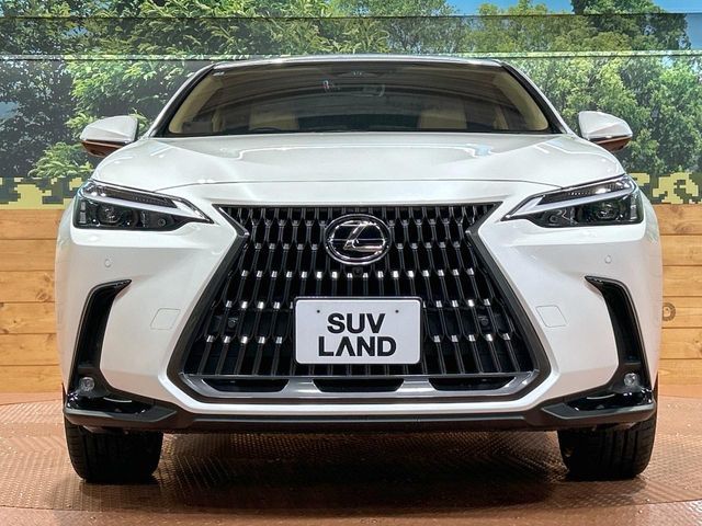 TOYOTA LEXUS NX350H 2025 Image 31