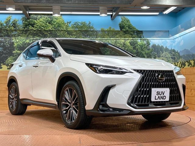 TOYOTA LEXUS NX350H 2025 Image 31
