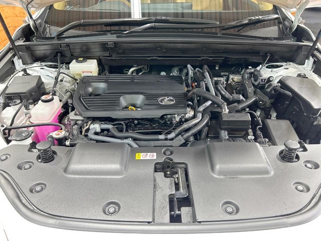 TOYOTA LEXUS NX350H 2025 Image 31