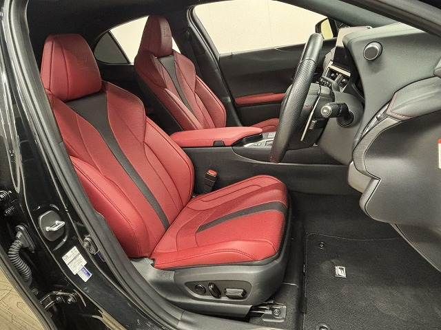 TOYOTA LEXUS UX250H 2022 Image 31