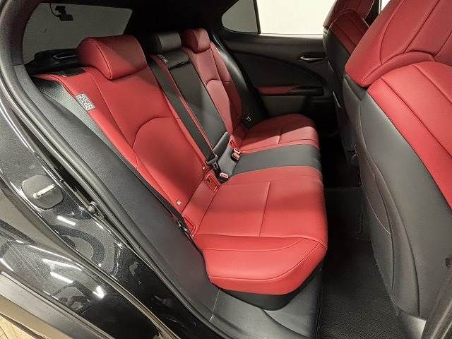 TOYOTA LEXUS UX250H 2022 Image 31