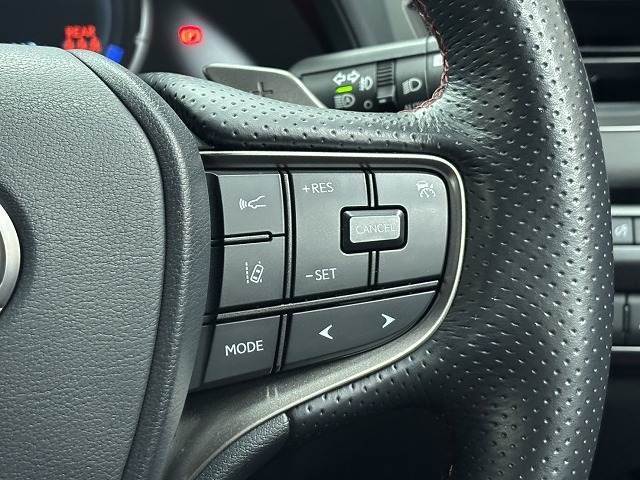 TOYOTA LEXUS UX250H 2022 Image 31