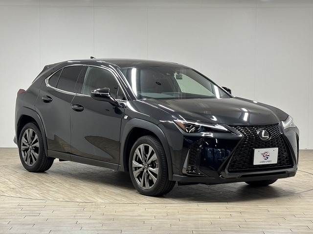 TOYOTA LEXUS UX250H 2022 Image 31