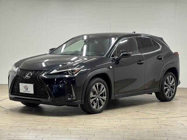 TOYOTA LEXUS UX250H 2022 Image 31
