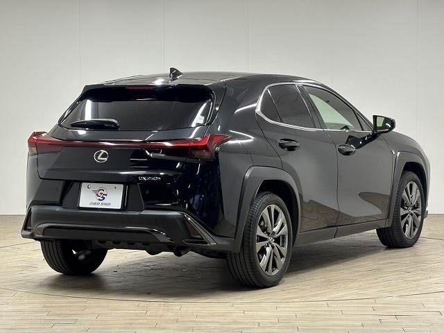 TOYOTA LEXUS UX250H 2022 Image 31