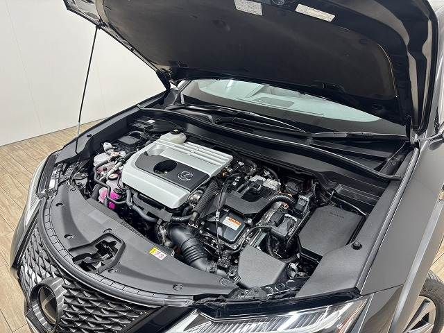 TOYOTA LEXUS UX250H 2022 Image 31