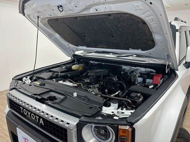 TOYOTA LANDCRUISER 250 2024 Image 31